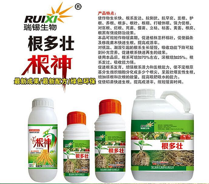 根多壮