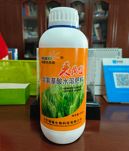 麦黄金含氨基酸水溶肥料