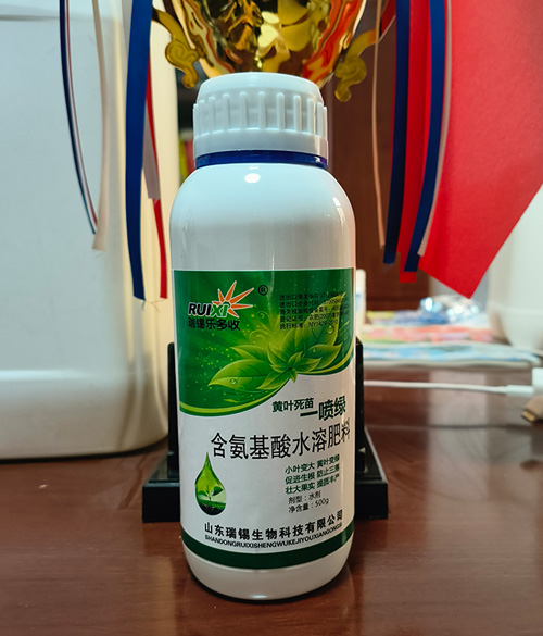 黄叶死苗-喷绿含氨基酸水溶肥料