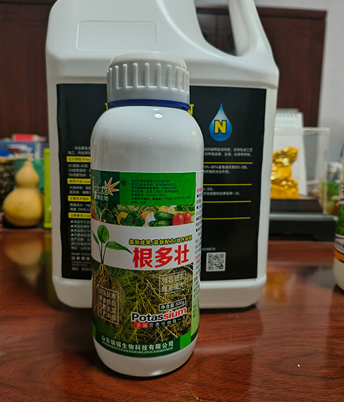 根多壮