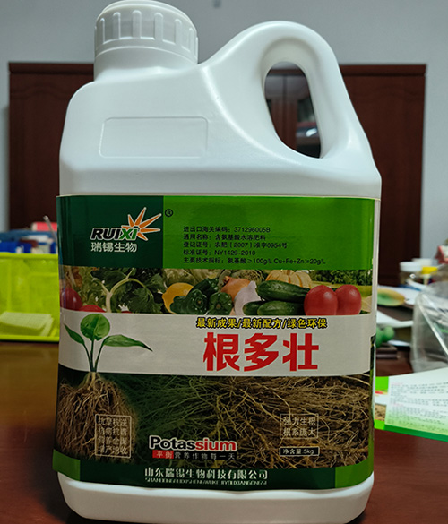 根多壮