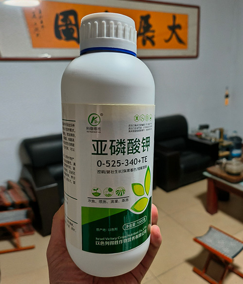 亚磷酸钾