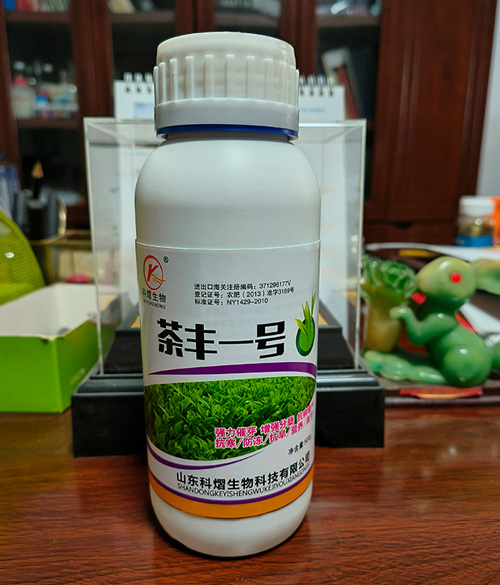 茶丰一号