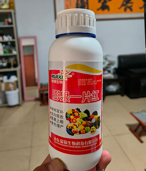 膨果一片红