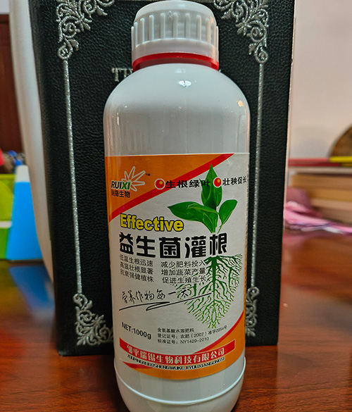 益生菌灌根